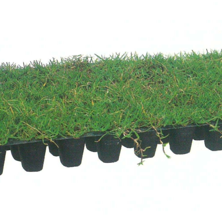Grass Mat